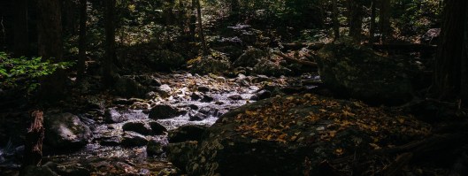 photo-1461869898587-2c6c0a1193fb